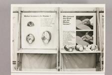 Ausstellungseinheit "Woher kommen die Kinder?"