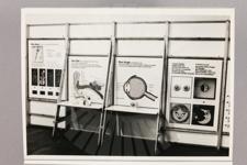 Teilansicht, Ausstellungseinheit über Sinnesorgane