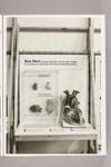 Ausstellungseinheit "Das Herz"